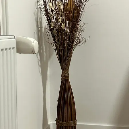 Moderne Service / شقة ركلنغهاوزن